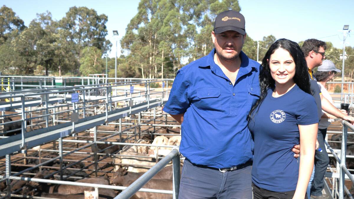James Argent and Georgie Larsen, Cookernup, were at the Boyanup sale looking for some lightweight heifers and were successful securing several pens.