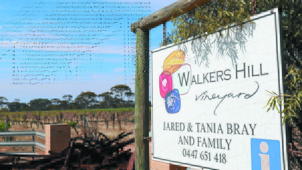Walkers Hill is not in a typical wine-producing region and is located at Lake Grace a region better known for traditional farming.