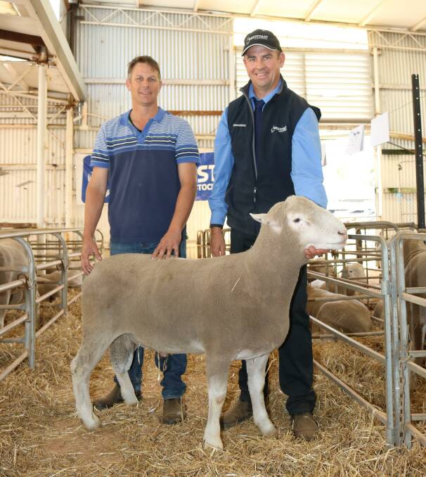 Buyer Chris Quartermaine (left), Katanning and vendor Sean Gillespie, Yow Yow Poll Dorsets, Wagin, and the second top-priced Yow Yow ram sold at Wagin.