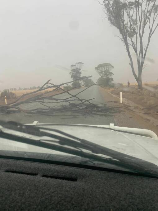 Power poles are down and there are trees over the road in a lot of Wheatbelt roads. Photo by Ash Geier.