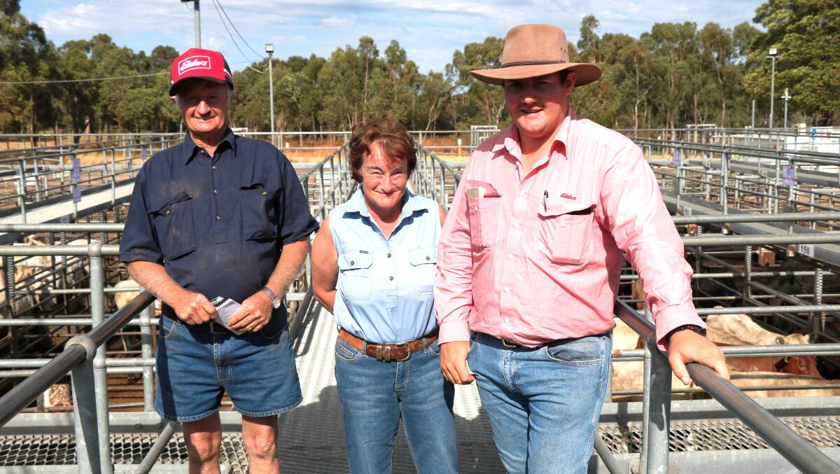 Gerald (left) and Denise Young, Yornup, caught up with Elders, Donnybrook representative Pearce Watling before the sale to check out the weaners on offer. The Youngs bought steers at $962.