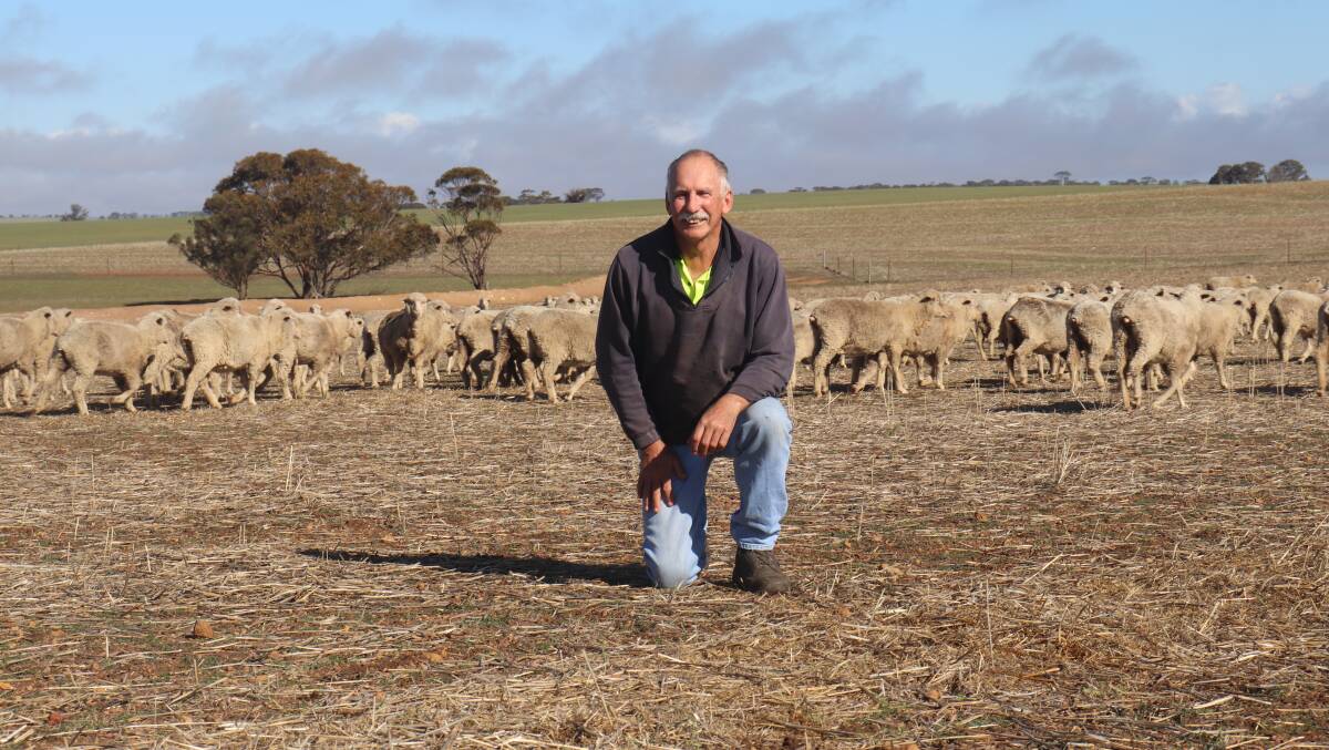 Murray Leach and his family run a Merino flock of 1200 ewes at Corrigin.