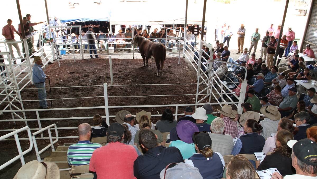 The Elders Insurance Invitational bull sale, previously held at the WA College of Agriculture, Narrogin, will this year be held at the Muchea Livestock Centre on Tuesday, February 19, sponsored by Elders Insurance.
