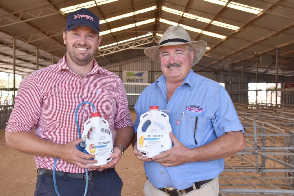 Bayer WA southern area manager Aaron Wiggins (left) and Merino head steward Peter Foley show some of the Tri-Solfen packs that will be handed out to section exhibitors.