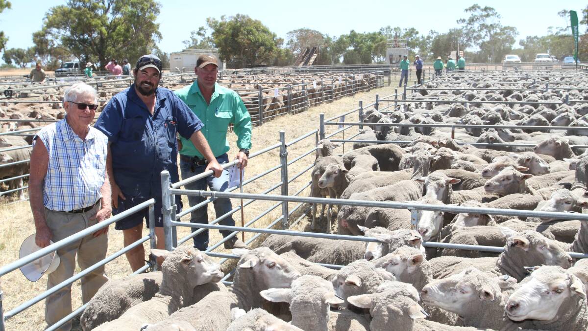 With the draft of 477 Arrin Park blood October shorn 4.5yo ewes offered by H & UD Reed, Arrin Park stud, Three Springs, were Neil Reed (left) and Scott Treloar, H & UD Reed and Murray Patterson, Nutrien Livestock Geraldton. The ewes sold at the sale to AuctionsPlus for $184.