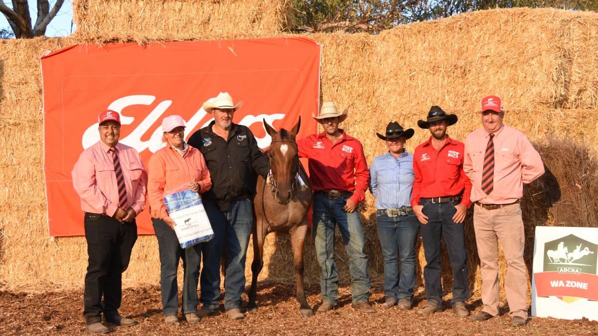 The second top price in the sale and top gelding price was $33,000 for this gelding Rock N Roll. With the gelding were Elders southern regional manager George Panayotou (left), vendors Heidi and Gavin Parnham, Coolup, Jim Laverty, Collie, who presented the horse in the sale for the Parnhams, buyers Bianca and Scott Lawrence, East Hope Quarter Horses, Esperance and Elders, Waroona representative and event co-ordinator Wade Krawczyk.