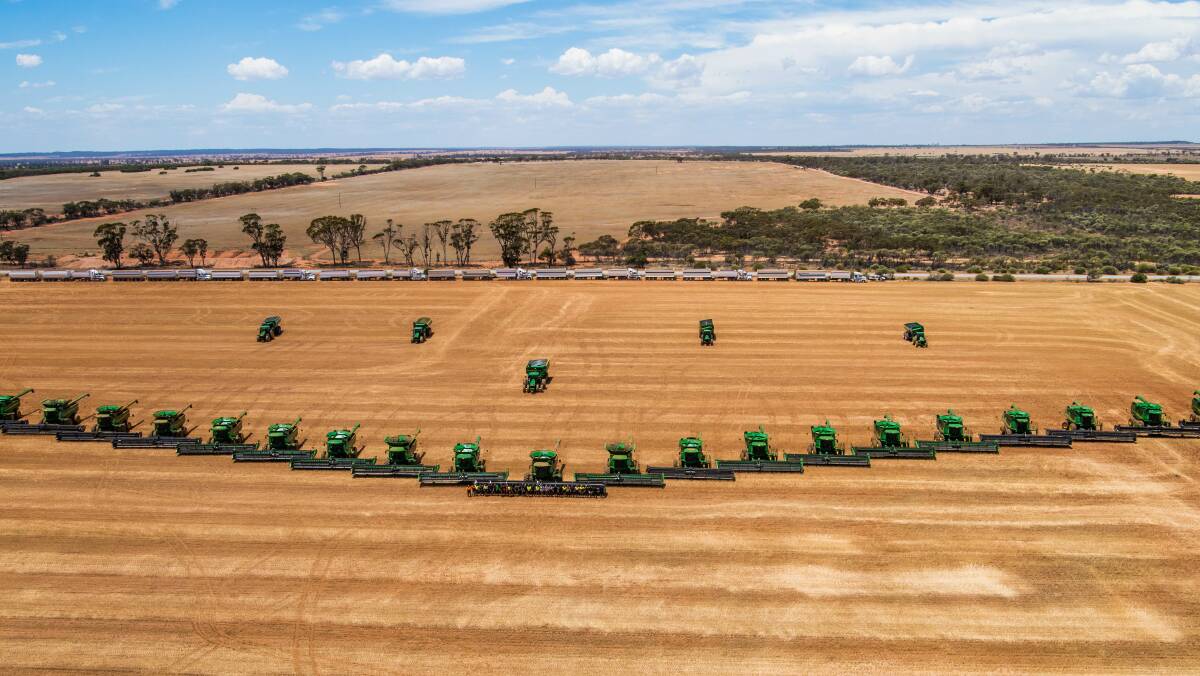 Photographer Alice Mabin and John Nicoletti have teamed up to donate a series of books showcasing Australian agriculture to regional and rural schools across the country. The pair struck up a friendship when Ms Mabin featured Mr Nicoletti's farming operation in her The Grower series of books, including this photo of harvest time at one of the Nicoletti properties.