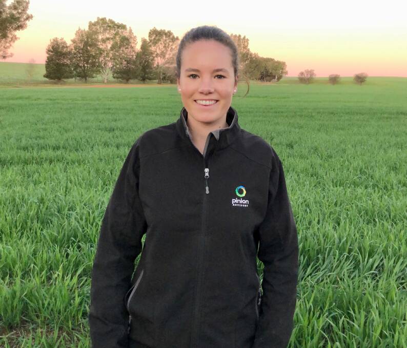 Jana Dixon has joined the WeedSmart team of extension agronomists, with a focus on applying the Big 6 to manage weeds in the high rainfall cropping systems of southern Australia  from Esperance in Western Australia to south-eastern South Australia, Tasmania and south-western Victoria.