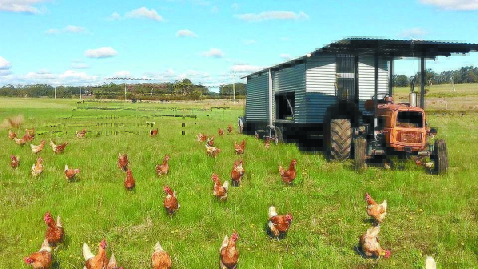 The chicken hotel has been the main sources of income since Margaret River Organic Farmer was set up five years ago. It houses about 40 layers and is moved daily.