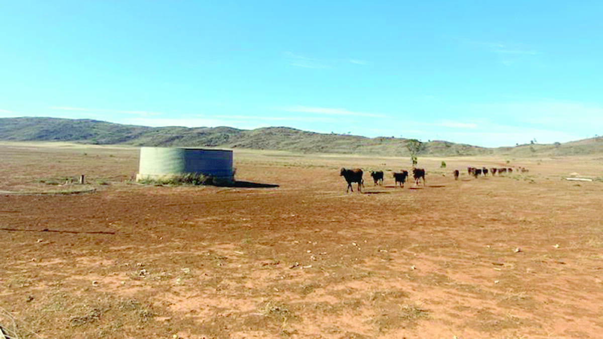 Fraser Range station has been forced to heavily destock due to the relentless dry conditions.