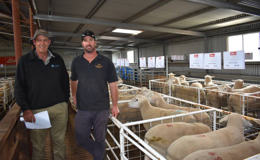 One of the volume buyers at the Golden Hill sale was Kevin O'Brien (left), Kov & Co, Pingelly, pictured with Golden Hill co-principal Nathan Ditchburn. Mr O'Brien purchased a total of 12 rams.