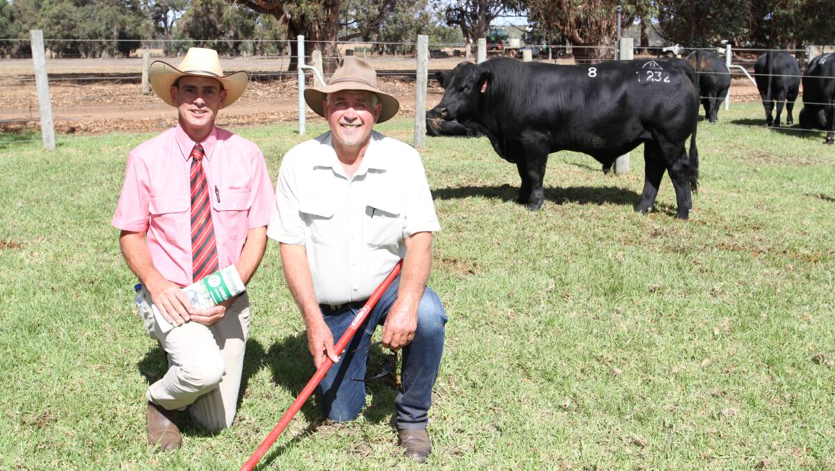 With the $27,000 new stud record top-priced bull at the 27th annual Bonnydale Black Simmental and SimAngus bull sale at Bridgetown last week were Elders South West livestock manager Michael Carroll (left) and Bonnydale stud co-principal Rob Introvigne. The bull, Bonnydale Rock N Roll T232, was purchased by the Hopkins family, Wormbete Black and traditional Simmental and SimAngus studs, Illabo, New South Wales, operating on AuctionsPlus.