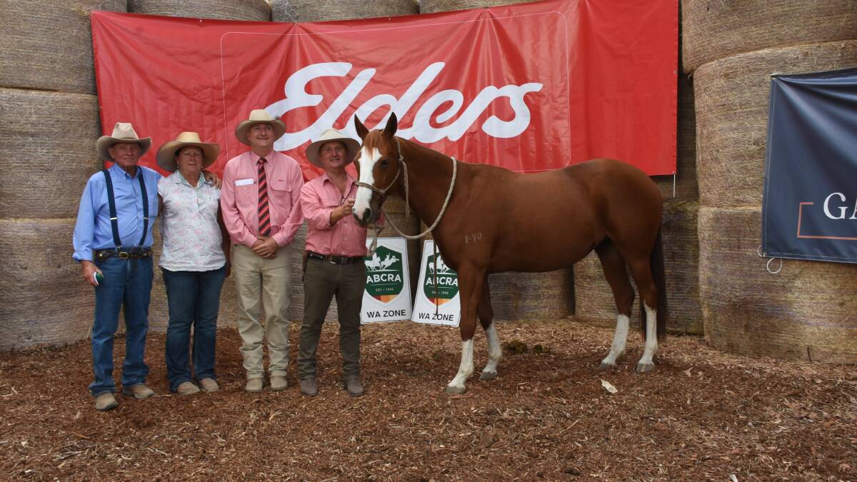 Keith (left) and Karen Anderson, Jubilee Downs Pastoral Co, Dandaragan, paid $32,000 for this mare Little Miss Tilly offered by the Hawke family, MJE Grazing, Albany. With the Andersons and Little Miss Tilly were Elders, Waroona representative and sale co-ordinator Wade Krawczyk and vendor Nigel Hawke.