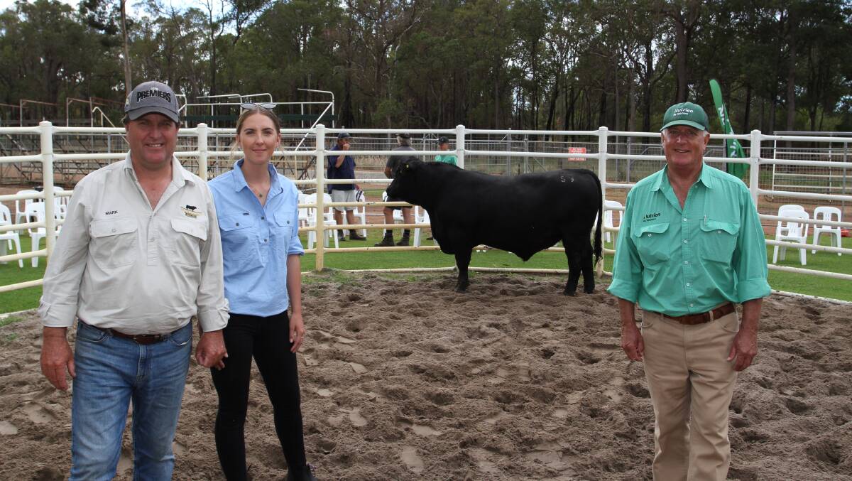 With the $16,000 top-priced bull Mordallup Beastmode Q59 (by Baldridge Beastmode B74) at the Mordallup Angus annual yearling bull sale at Boyanup last week were Mordallup stud principal Mark Muir (left) and his daughter Diana, Manjimup and Nutrien Livestock southern manager Bob Pumphrey, who purchased the bull on behalf of Tomlinson Ag, Kalgan.