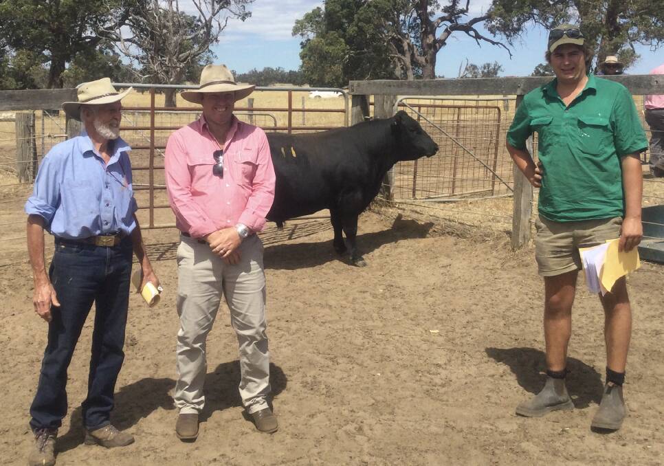With the $12,250 top-priced bull Ardcairnie Q39 at the final Ardcairnie Angus on-property bull sale at Kojonup last week were Ardcairnie stud co-principal Jim McGregor (left), Elders Kojonup branch manager Cameron Grace and top price buyer Fred Roe, Benalong Grazing Company, Gingin.