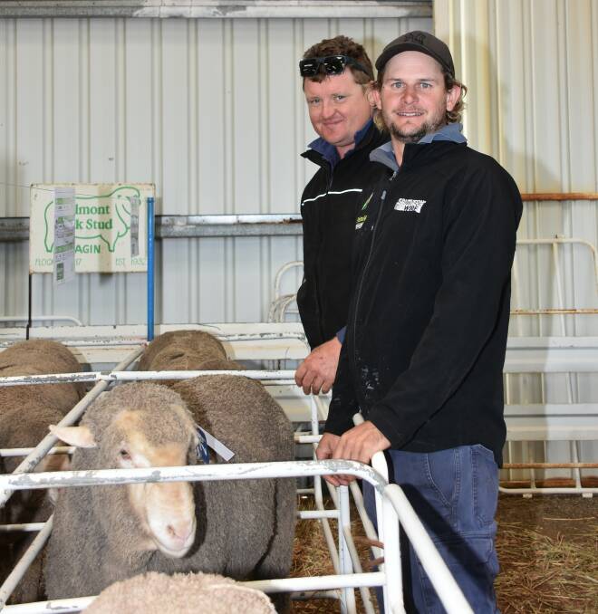 Inspecting the line-up of rams on offer in the sale were Mitch Johnston (left) and Matt Gillett, Gillett Bros, Williams, whose family has been buying from the stud for well over 60 years. During the sale the Gillett family purchased six rams to a top of $2750 and an average of $1958.