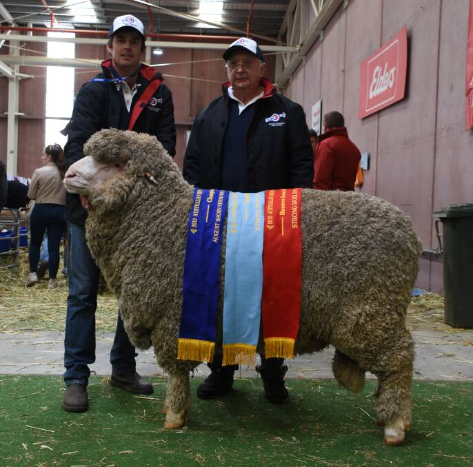 With the grand champion Poll Merino ram of the show exhibited by the Kolindale stud, Dudinin, were Kolindale co-principal Luke Ledwith (left) and former stud owner Colin Lewis. The ram was also sashed the reserve grand champion strong wool ram, champion strong wool Poll Merino ram and champion August shorn strong wool Poll Merino ram.