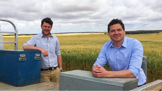  Business development manager in WA Peter Brennan (left) and managing director Nathan Cattle, thank growers and their consultants for understanding and supporting the exchange and are confident there are more buyers who will want to buy their grain.