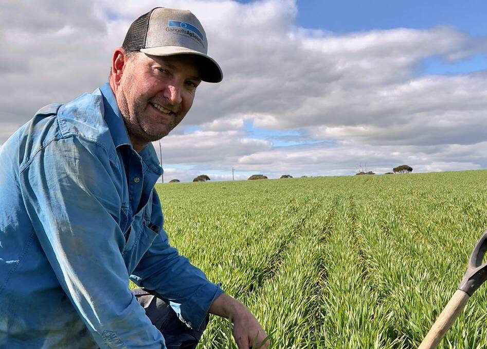 Kulin sheep and cropping farmer Brendon Savage in his Australian Sustainable Produce certified barley crop.