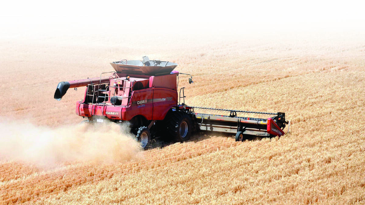 Some forecasters are predicting a national wheat crop as large as 32 million tonnes.