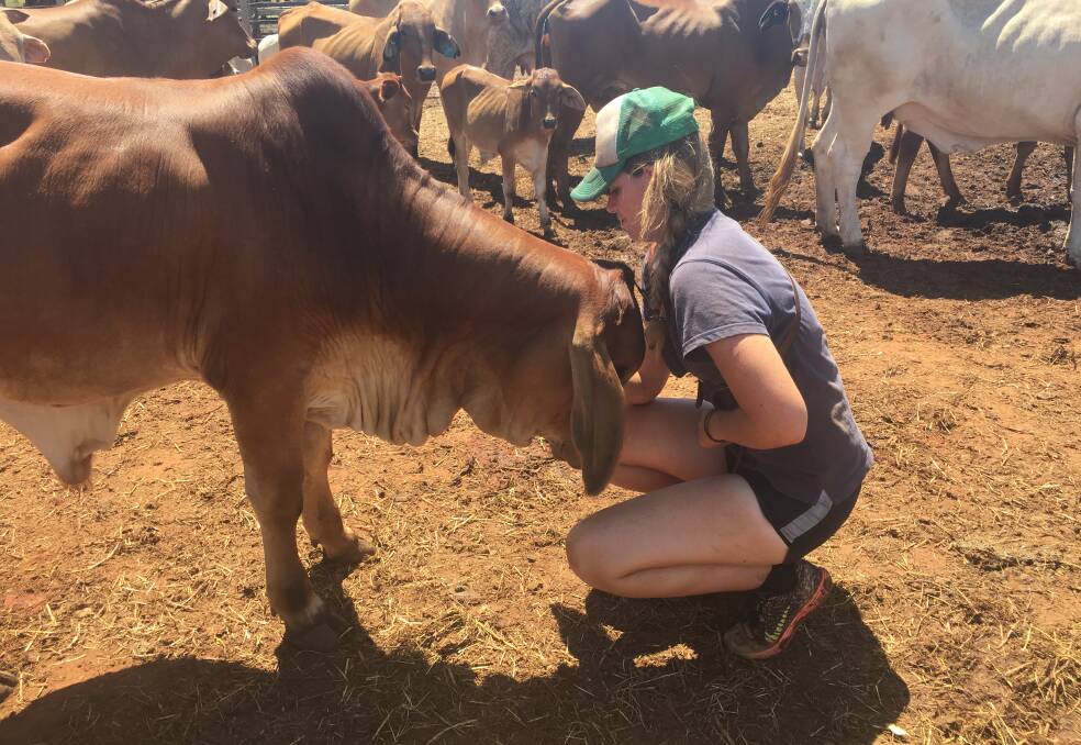 Lucy Morris with Buddy, the pet bull, in Broome.
