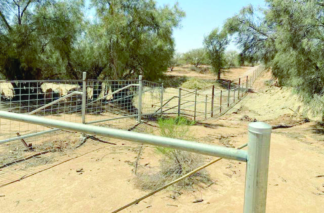 The Murchison Regional Vermin Cell project will prevent the movement of wild dogs from the east into the Mid West/Murchison region, while also protecting wild dogs and emus from moving into the agricultural regionals of the Mid West.