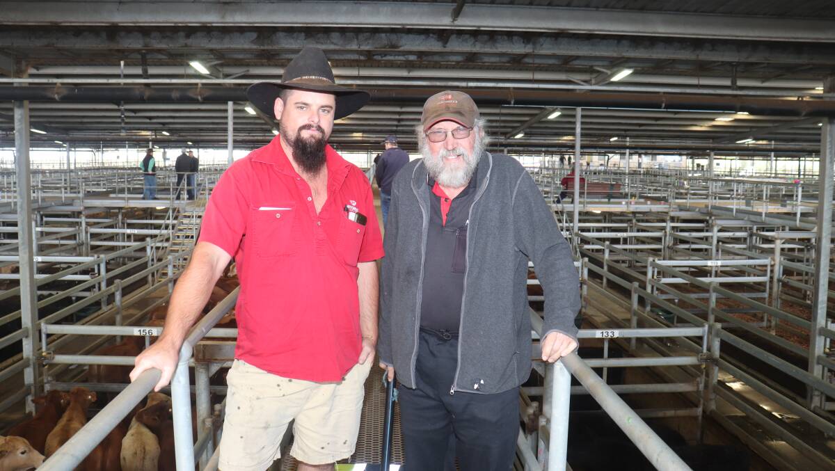 Mitchells Transports Damo White (left) and Dave Robinson took the opportunity to look over the cattle after penning before reloading trucks following the sale.