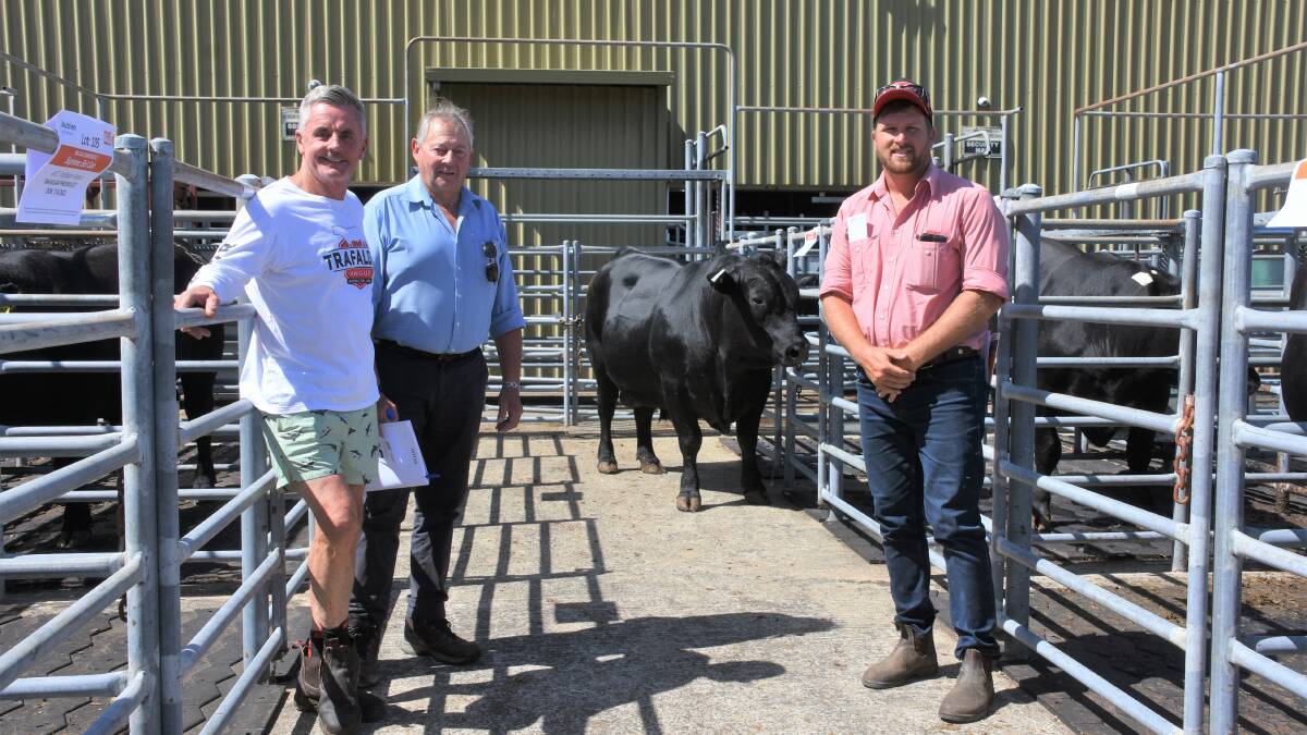 The top price in the Angus run was $8000 paid by the Jones family, Wembley Park, Kojonup for this Taimate Lazarus L12 son from the Trafalgar stud, Carbunup. With the bull were Trafalgar principal John Annear (left), buyer Geoff Jones and Elders, Busselton representative Jacques Martinson.