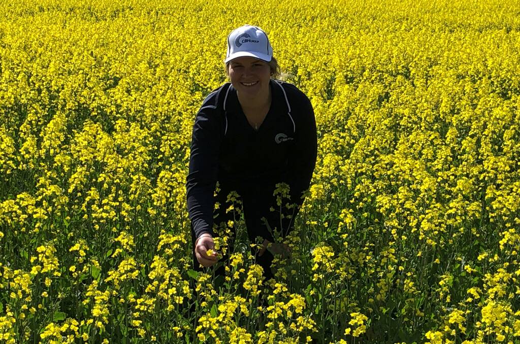  Gemma Pauley completed five harvest seasons with CBH as a grain sampler before stepping up the ladder to become a CBH business relationship manager.