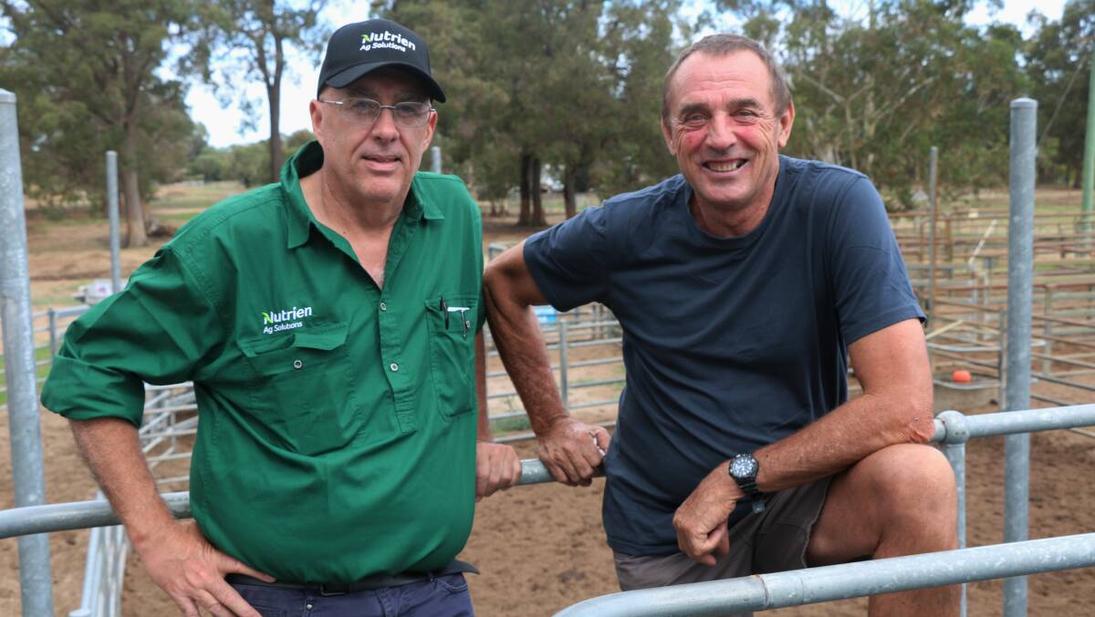 Newly appointed Nutrien Livestock South West livestock manager Mark McKay (left), with Greg Kings, at the Boyanup sale.
