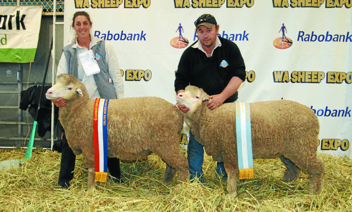 CHAMPION & RESERVE CHAMPION MARCH SHORN SUPERFINE/FINE/FINE-MEDIUM WOOL POLL MERINO EWES: The champion and reserve champion March shorn superfine/fine/fine-medium wool Poll Merino ewes were exhibited by the Seymour Park stud, Highbury. With the ewes were stud connections Paula and Michael Blight.