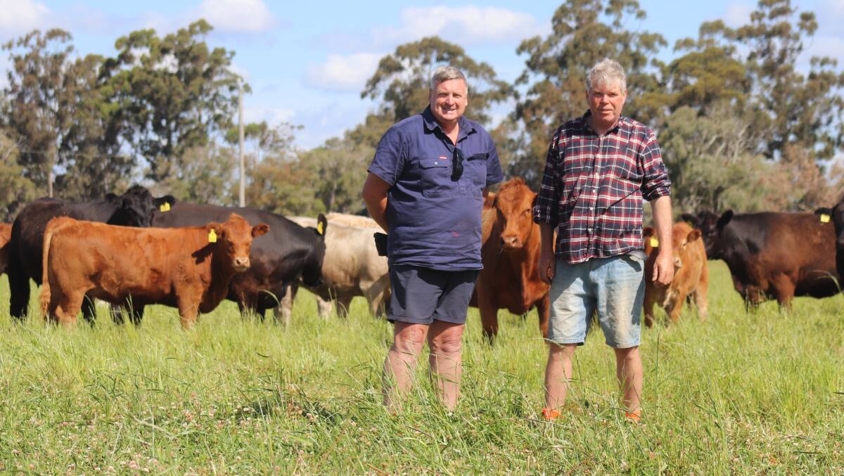 After many years in the cattle industry together, Mark Hutton (left)and Murray Bell work alongside each other at Mr Huattons Capel property, which is where Mr Bell keeps some of his own cattle.