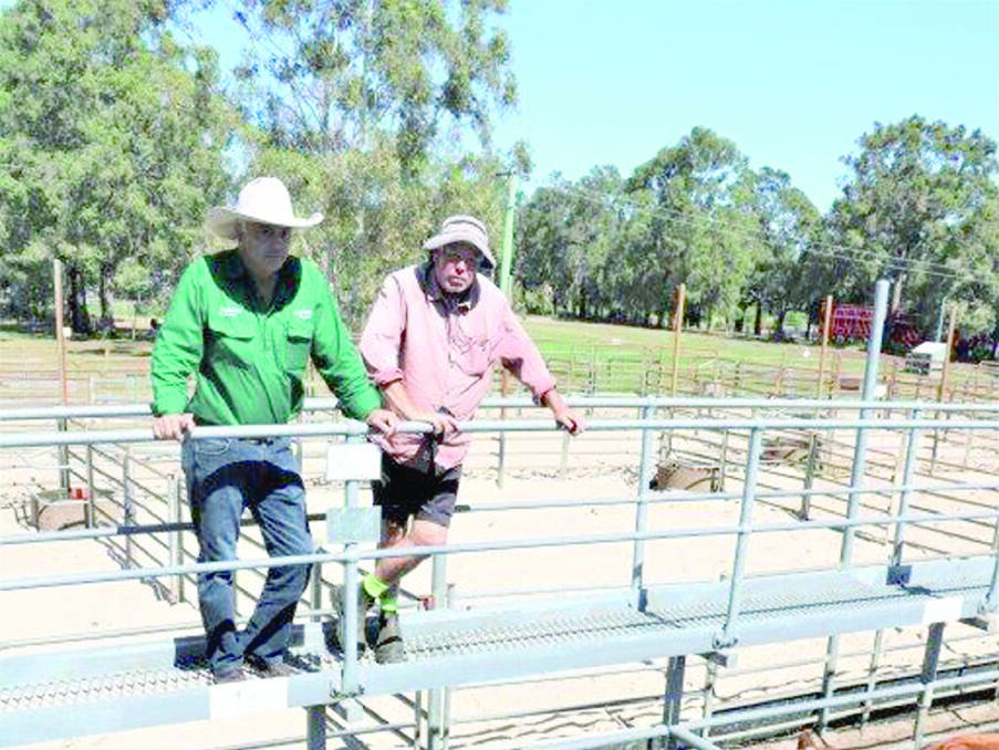  Nutrien Livestock State manager Leon Giglia (left) with Mark Hutton, Capel, looking over Mr Hutton's steers. The pen sold for $1857 and 448c/kg.