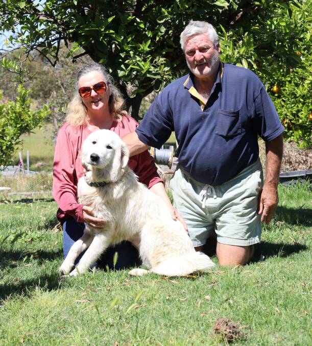  PetTeet Park owners Pam and Kevin Johnson breed miniature animals, proving good things come in small parcels.