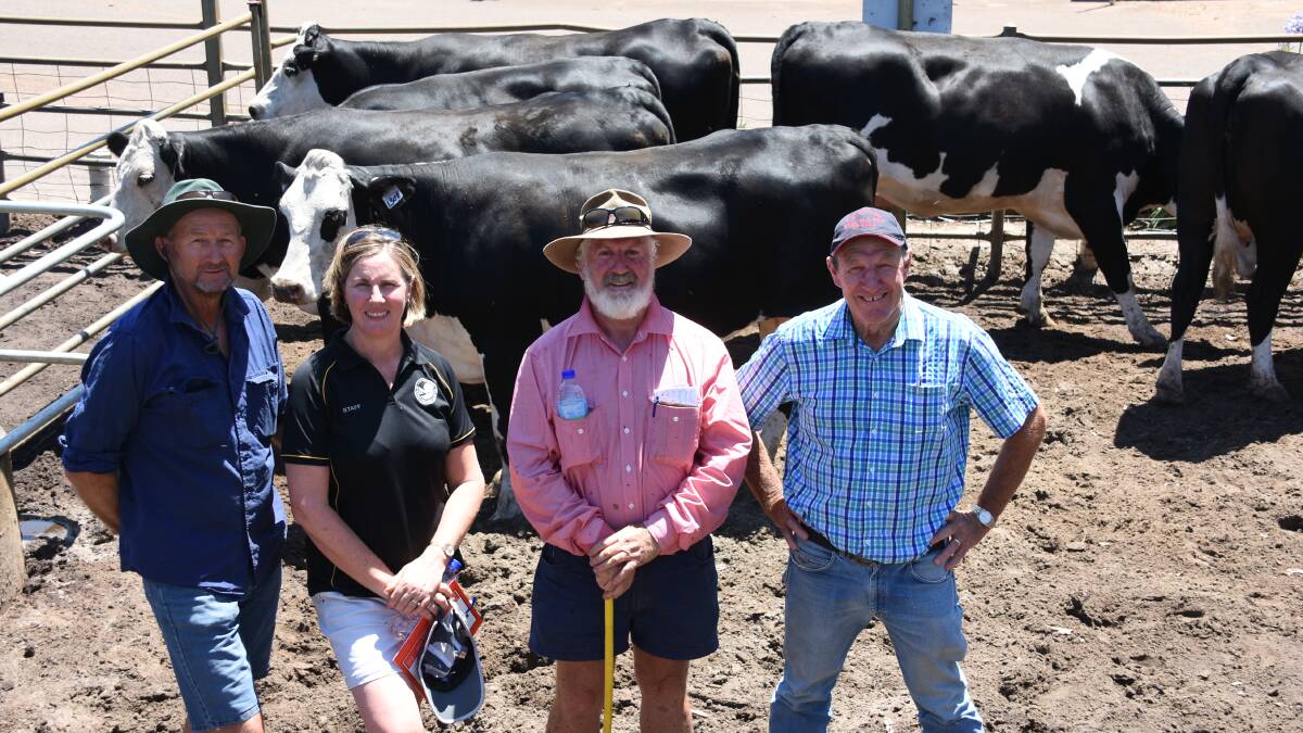 This line of Hereford-Friesian heifers from the Roberts family, KS & EN Roberts & Son, Elgin, sold for the sale's second top price of $2500. With the line were vendors Michael (left) and Loretta Roberts, Elders Capel representative Robert Gibbings and buyer Kevin Hard, Denmark.