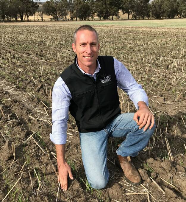  GRDC manager NVT  west Peter Bird at an early break NVT site at Kojonup, where wheat was seeded on   April 5. Photo by GRDC.
