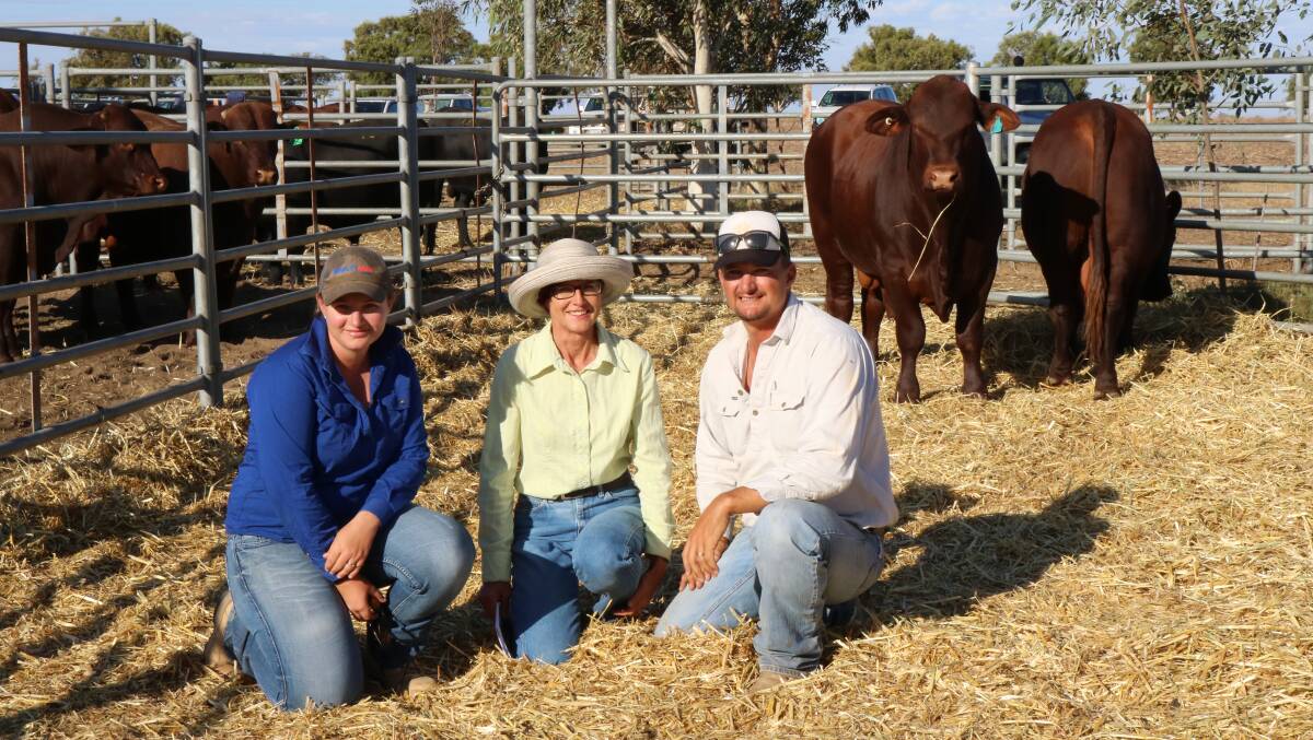 Wendalla buyers Melissa and Tyson Deutscher, Badgingarra, flank Wendalla Santa Gertrudis stud principal Wendy Gould, Chittering, after they spent a top of $4500 privately for the 940kg Wendalla Qualifier Q47 (P) (at right) bull after the stud offered at the Biara Santa Gertrudis sale for the first time.