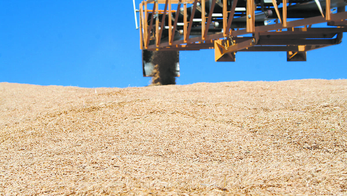 Campaign aims to diversify barley market