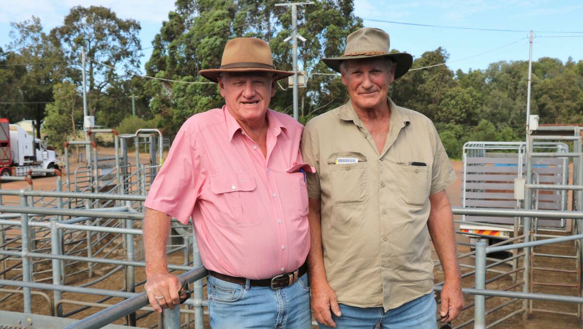 Deane Allen (left), Elders Bridgetown, with Allan Padman, Capel, before the sale where several pens were clerked to the Padmans account to a top of $1879 while Mr Allen paid up to $1793.