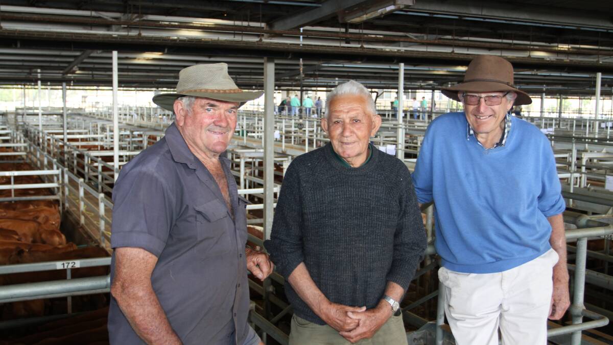Sale vendors with quality lines of Angus and Murray Grey steers and heifers were Rowley Read (left) and Laurie Bush, Bush & Co, Chittering and George Gifford, GA & SA Gifford, Gingin, who caught up following the sale of their cattle. The Bush & Co steer draft sold to 456c/kg and $1461 while Mr Gifford's prices topped at 442c/kg and $1529 for steers.