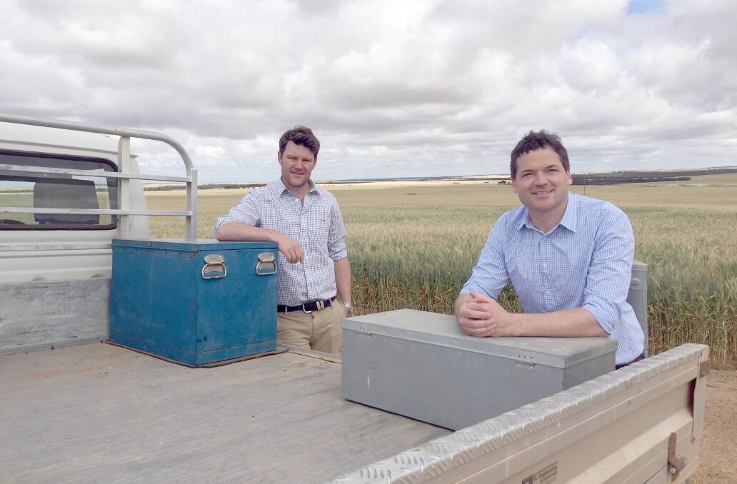 Peter Brennan (left) and Nathan Cattle from Clear Grain Exchange believe growers have a choice to offer grain for sale to all buyers at the price they believe is fair value. 