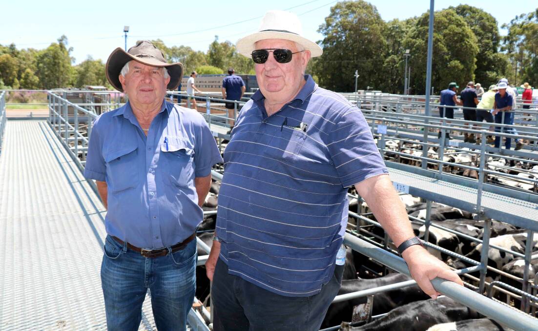 Beef steers sell to $2065 at Boyanup