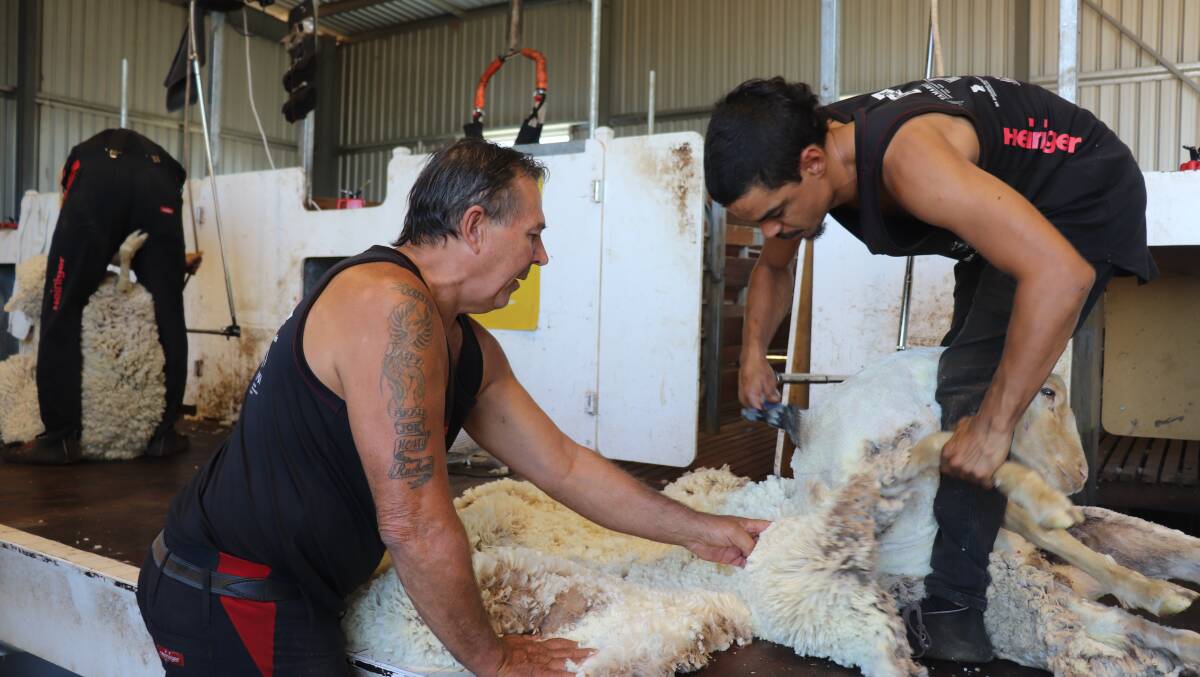 Todd Wegner (left), instructs learner Stephen McCarthy, Trayning, who had never picked up a handpiece before starting the shearing school, but who now wants to become a shearer.