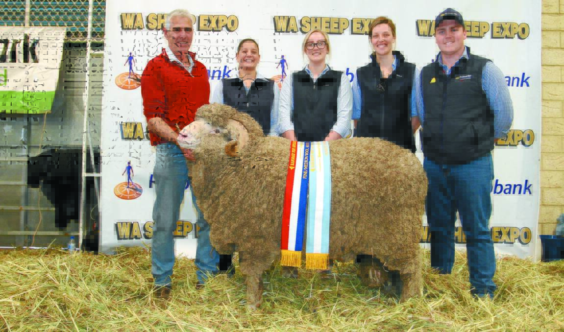 RESERVE GRAND CHAMPION AUGUST SHORN RAM: Navanvale stud co-principal Chris Hogg (left), Williams, Rabobank representatives Sabine Lawrence, Albany, Alyce Tropiano, Narrogin and Rachel Bowman, Albany and class sponsor Liam Want, Primaries Wagin, with the reserve grand champion August shorn ram and champion August shorn fine/medium wool Merino ram exhibited by the Navanvale stud.