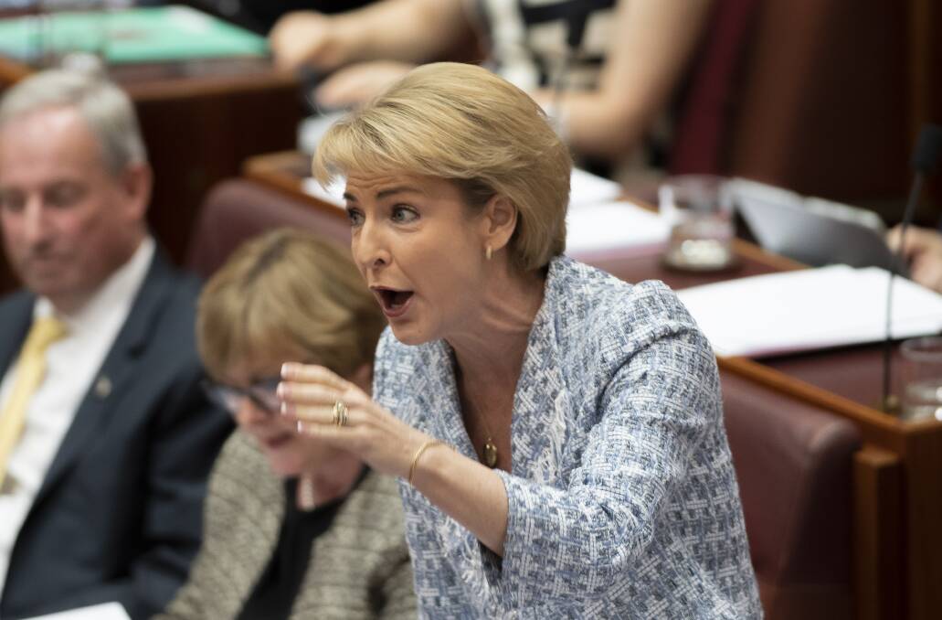REJECTED: Michaelia Cash says the government won't be changing the status of "illegal migrant workers". Photo: Sitthixay Ditthavong