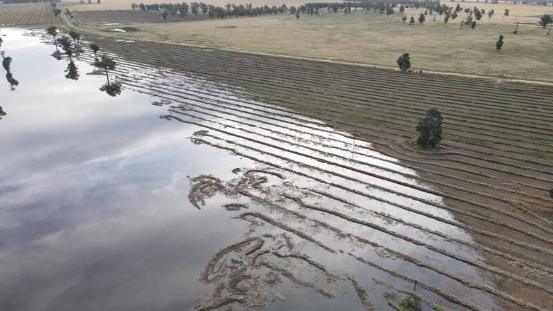 $50k grants for November flood-affected farmers in NSW and QLD