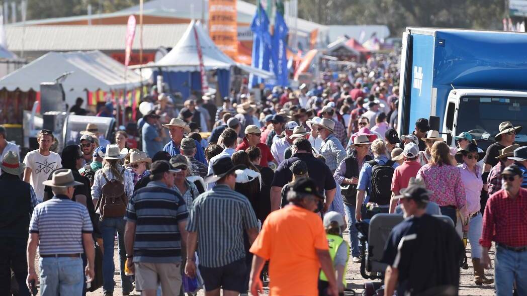 SHOW STOPPER: Ag shows and fields days, like AgQuip (pictured) make a significant contribution to local economies. Photo: Peter Hardin