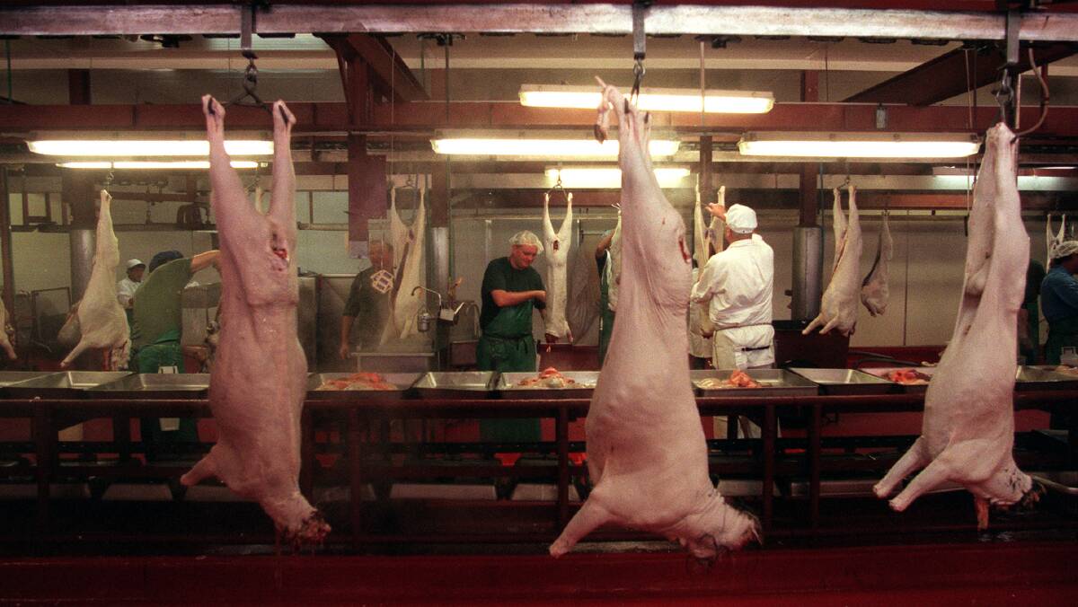 LABOUR STRUGGLE: Meatworks struggle to fill vacancies with local labour, as up to half leave within six to 12 months, while many applicates are rubbed out for failing a pre-employment drug test.