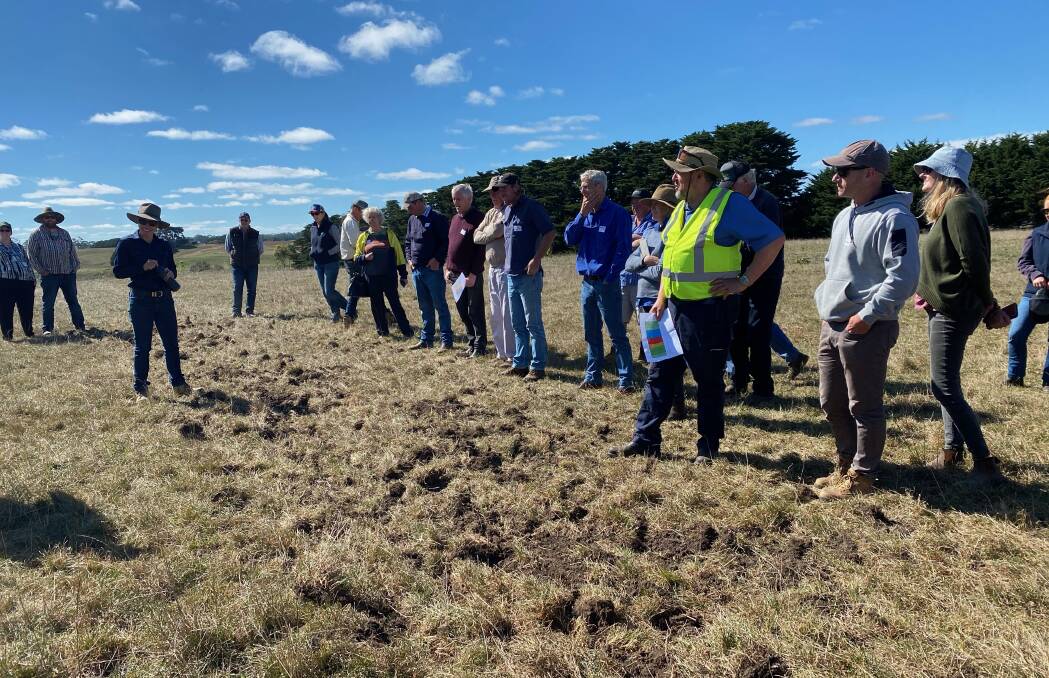 Heytesbury District Landcare Network held a field day at Craig and Tanya Davis' dairy farm near Cobden, south-west Victoria, to evaluate the trial paddocks.