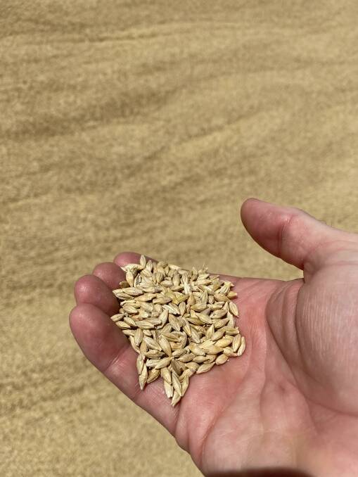 BUMPER SEASON: Queensland is expected to produce 63 per cent more grain than last year's winter crop.